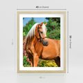 Plakat w ramie 40x50 - Elegancki wierzchowiec - koń, portret - rama drewno