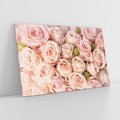 Obraz na płótnie 120x80 - Delikatność róż - piękno natury - róże, kwiaty