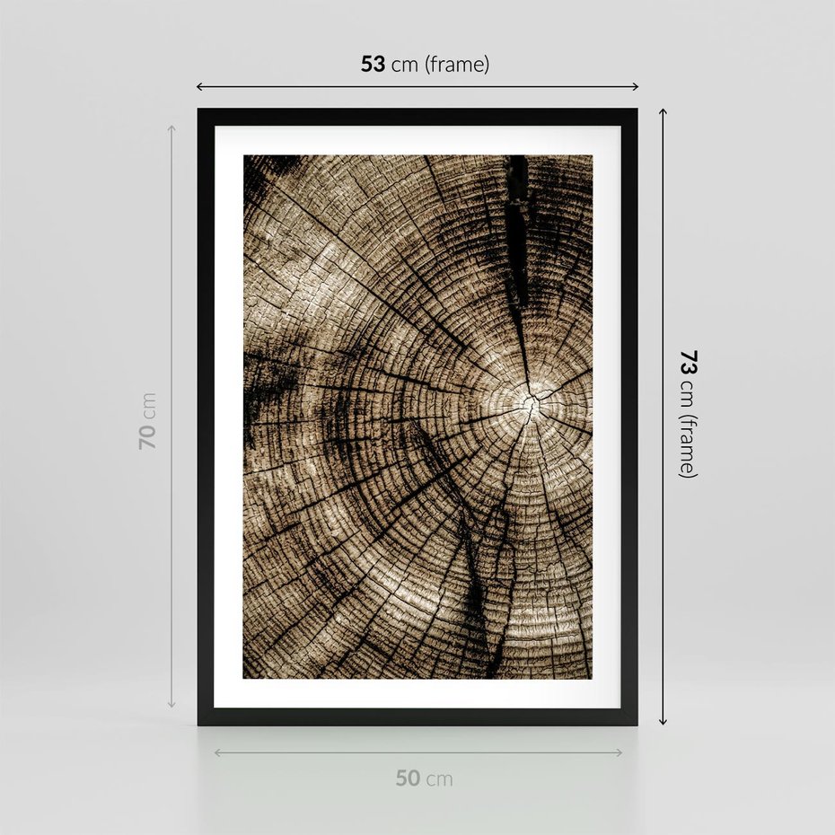 Plakat w ramie 50x70 - Natura Pod Lupą - pień drzewa, przekrój - rama czarna