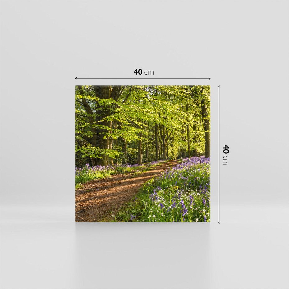 Obraz na płótnie 40x40 - Magia lasu: Drzewa w tajemniczej otoczce - las, drzewa