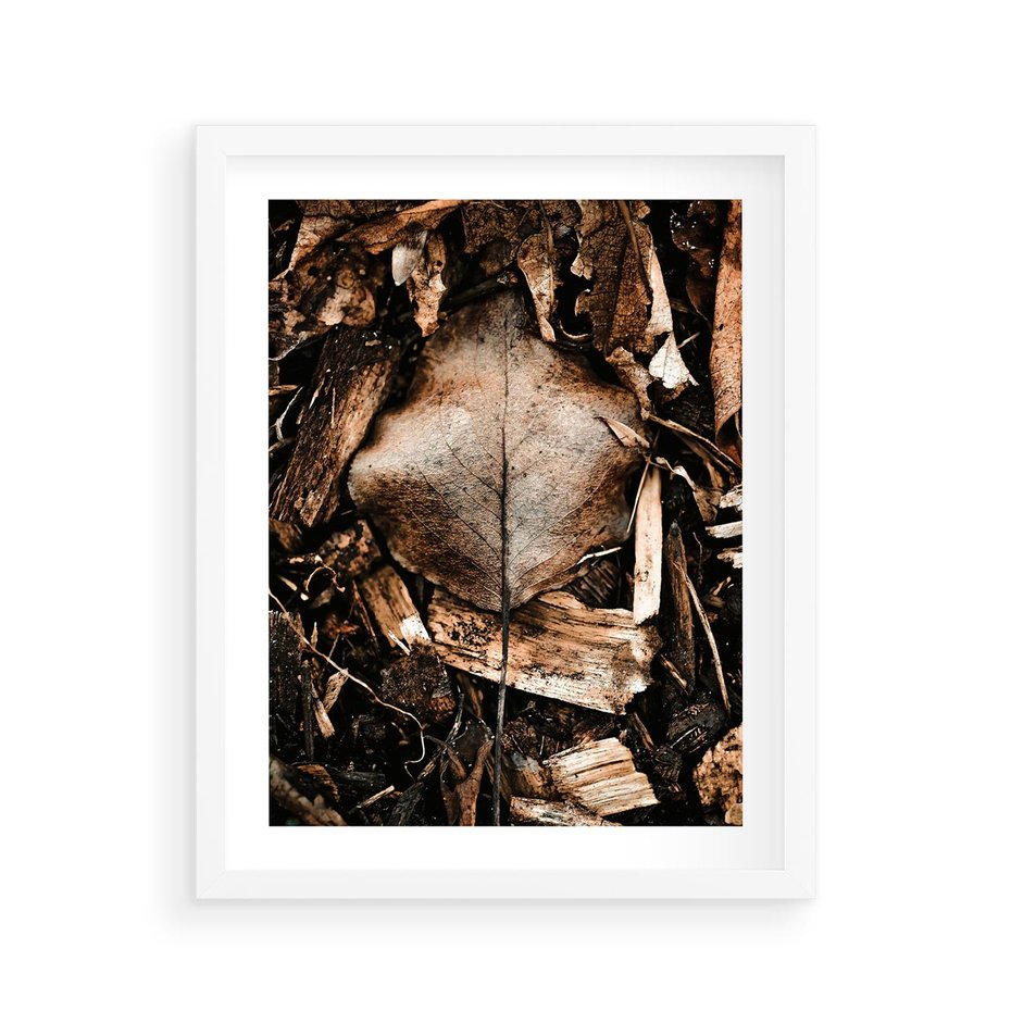 Plakat w ramie 40x50 - Samotny Liść - liść, brąz - rama biała