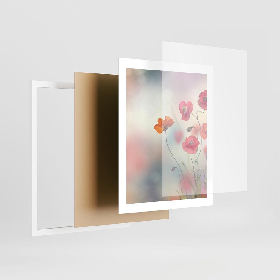 Plakat w ramie 40x50 - Urok natury - kwiaty, akwarela - rama biała