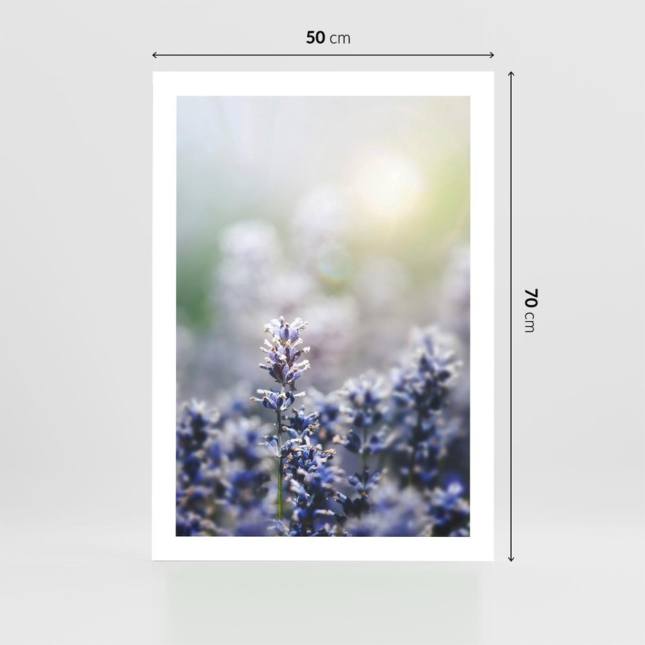 Plakat bez ramy 50x70 - Delikatna Uroda Natury - wrzosy, fiolet