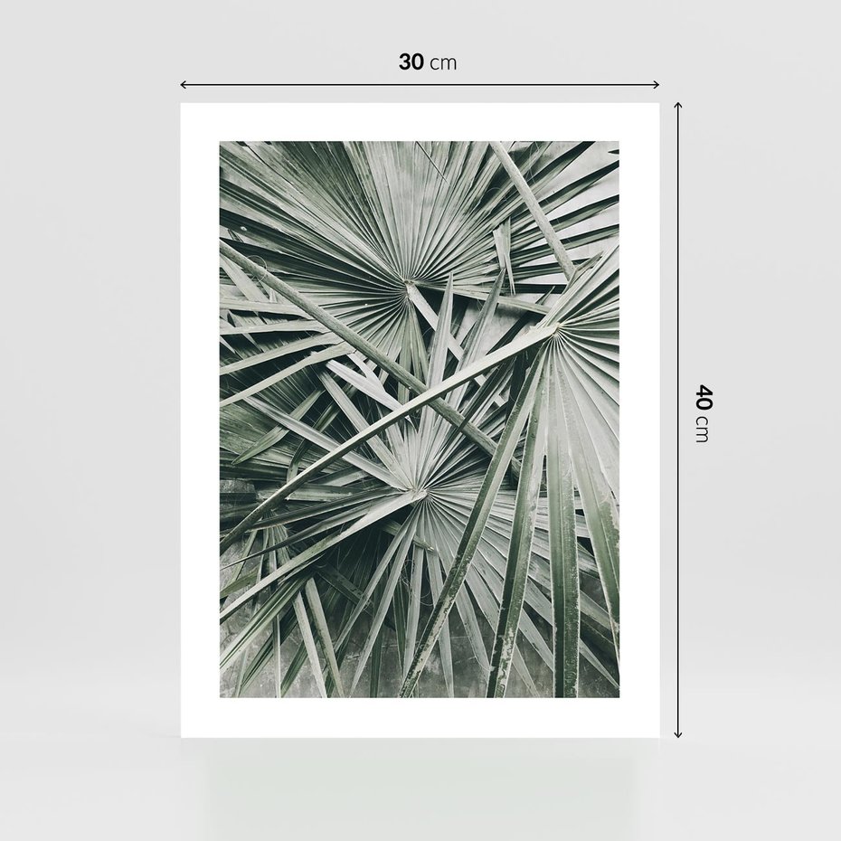 Plakat bez ramy 30x40 - Palmy w Zgaszonej Zieleni - palmy, tropikalne liście