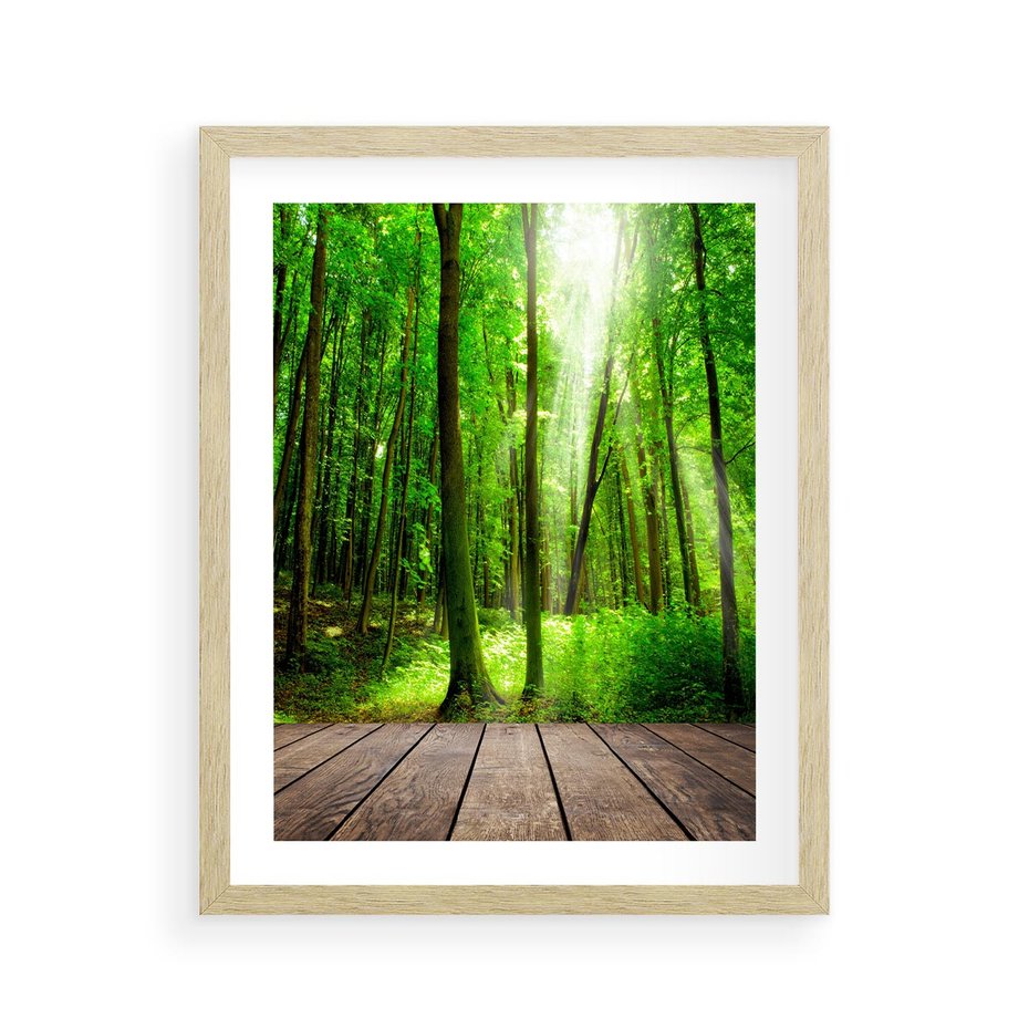 Plakat w ramie 40x50 - Spacer po urokliwej dróżce w lesie - las, dróżka - rama drewno