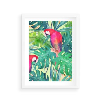 Plakat w ramie 50x70 - Egzotyczna Przygoda - tropikalne, liście - rama biała