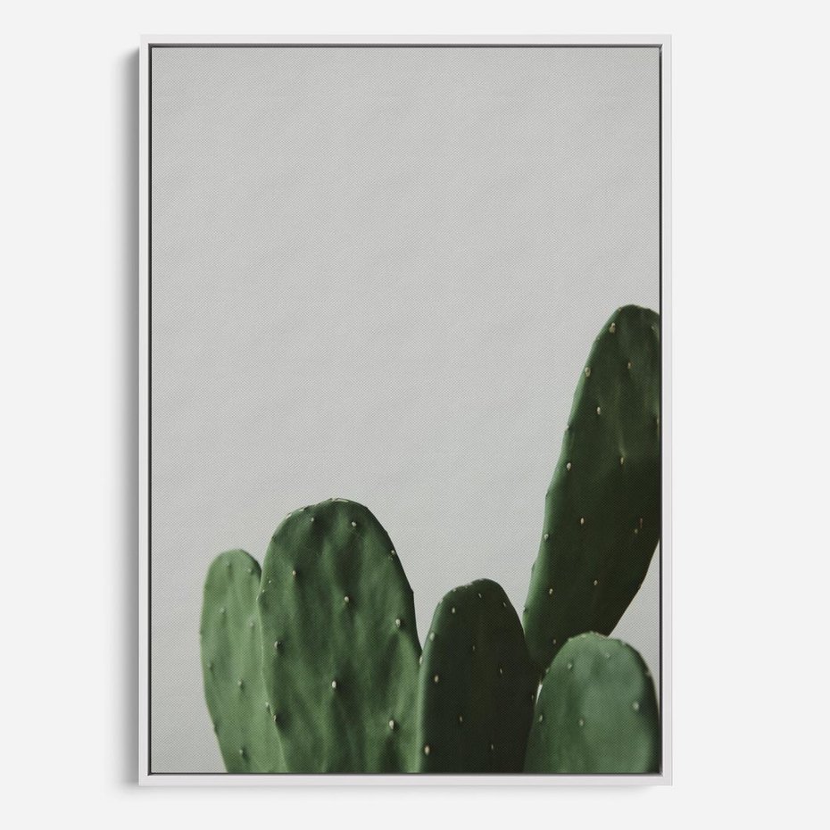 Obraz w ramie 70x100 - Majestatyczne Wysokości - kaktusy, liście - rama biała