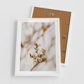 Plakat w ramie 50x70 - Kwiatowa suchość - kwiaty, susz - rama biała