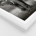 Plakat w ramie 30x40 - Majestatyczny słoń Afryki - słoń, Afryka - rama biała