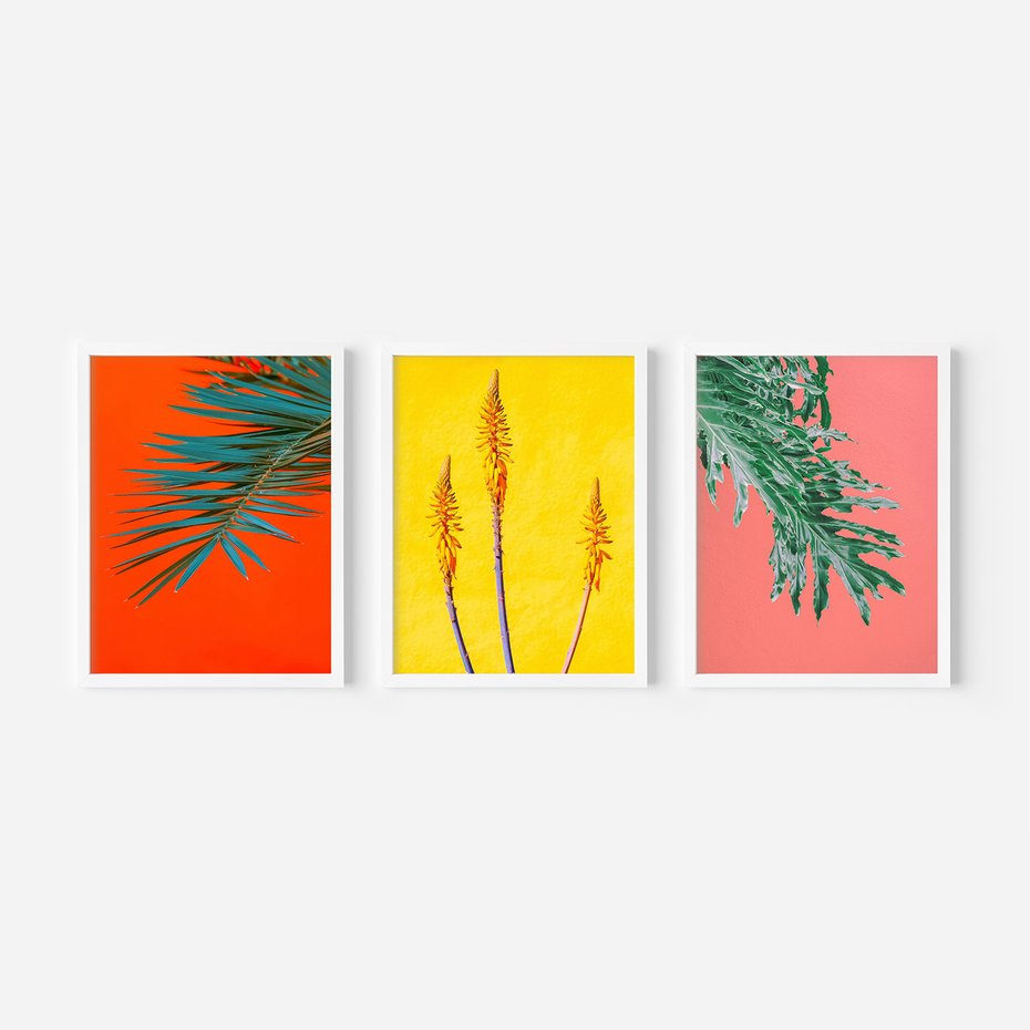 Zestaw obrazy w ramie 50x70 galeria - Rośliny, liście, kolorowe, energetyczne, tło - rama biała