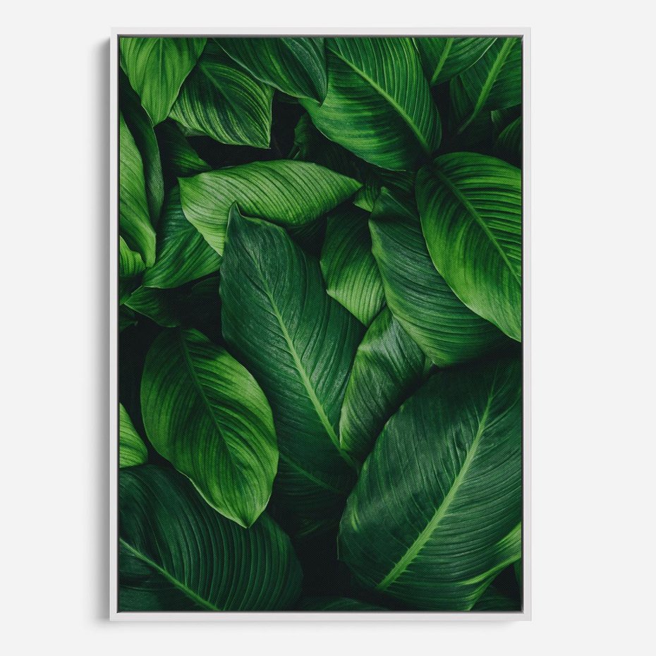 Obraz w ramie 70x100 - Palma Liście Kwiat - palma, liście - rama biała