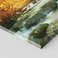 Obraz na płótnie 80x80 - Siła Natury: Strumień w Lesie - strumień, las