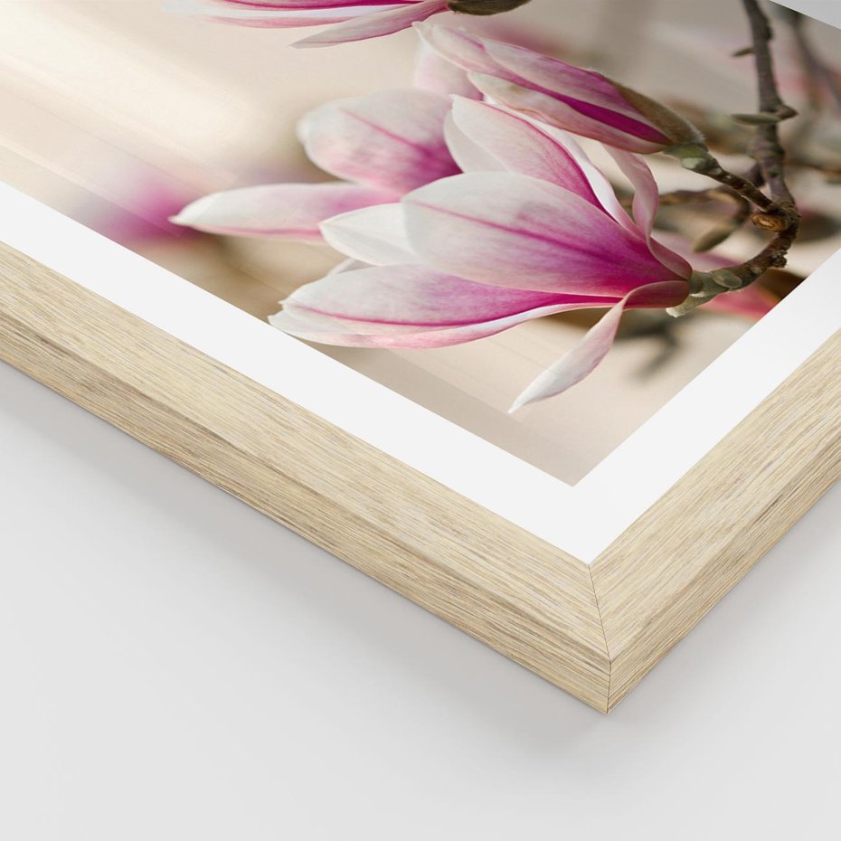 Plakat w ramie 30x40 - Urok Magnolii - magnolie, kwiaty - rama drewno