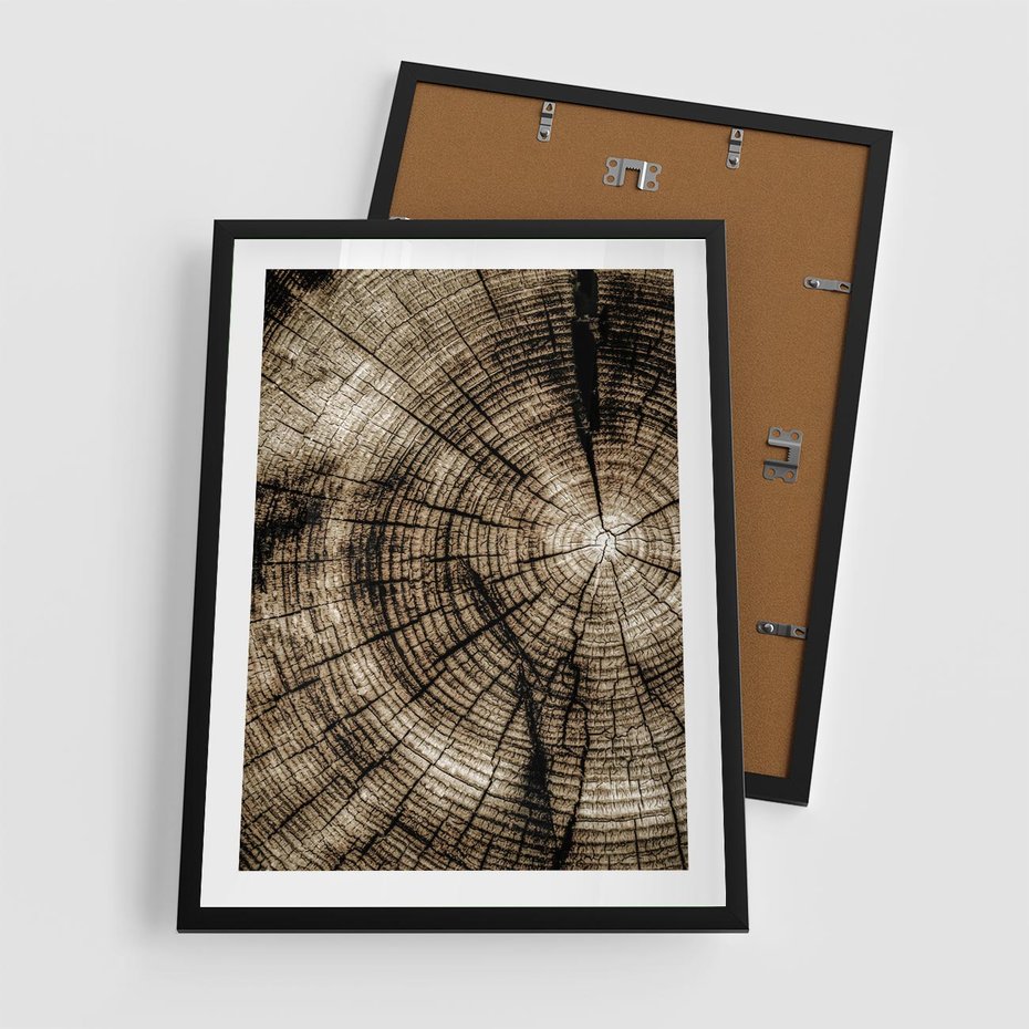 Plakat w ramie 50x70 - Natura Pod Lupą - pień drzewa, przekrój - rama czarna