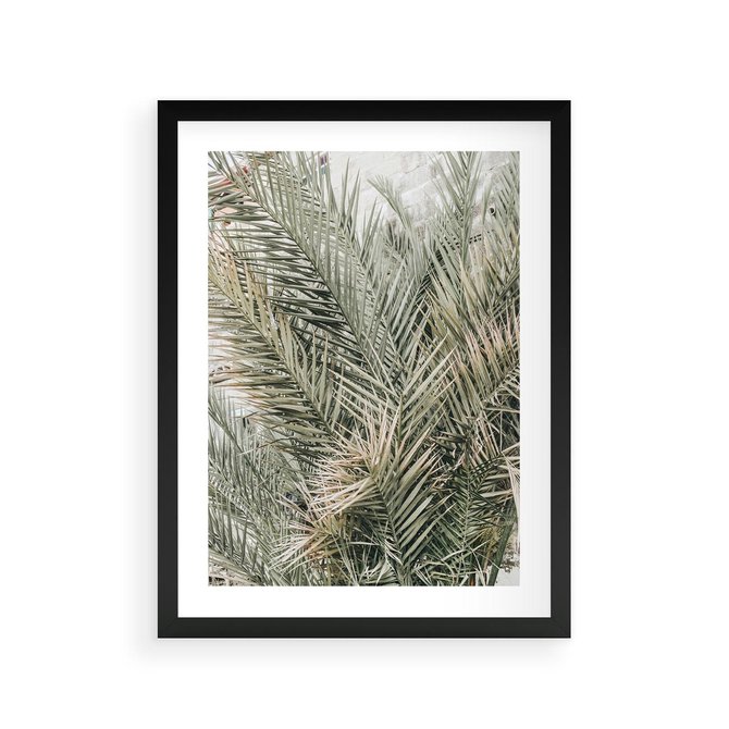 Plakat w ramie 30x40 - Egzotyczny Świat Palm - palmy, liście palmy - rama czarna