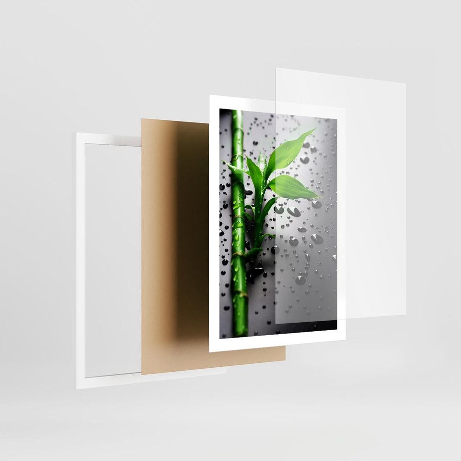 Plakat w ramie 50x70 - Bambusowa Harmonia - bambus, liście - rama biała