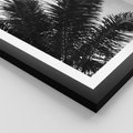 Plakat w ramie 50x70 - Czas Zapomnienia - palmy, czarno biała fotografia - rama czarna