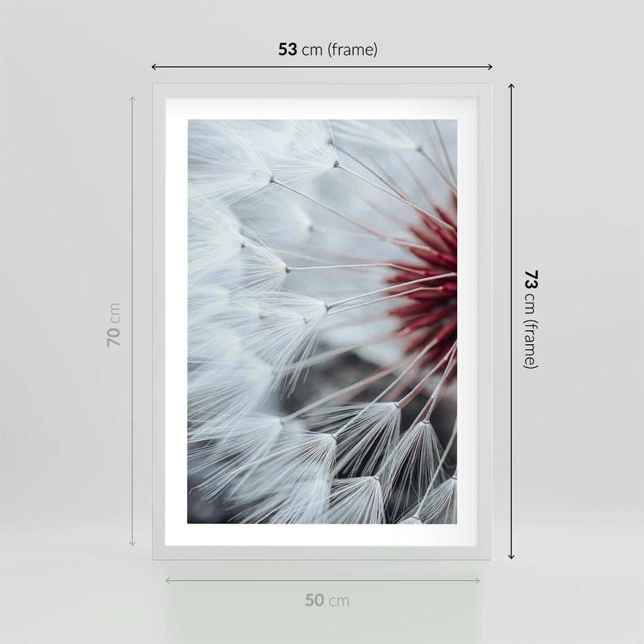 Plakat w ramie 50x70 - Makro Magii Natury - dmuchawiec, zbliżenie makro - rama biała