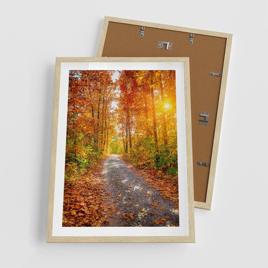 Plakat w ramie 50x70 - Kolorowe drzewa na ścieżce jesieni - las, jesień - rama drewno