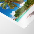 Plakat bez ramy 30x40 - Oaza palm na plaży - palma, plaża
