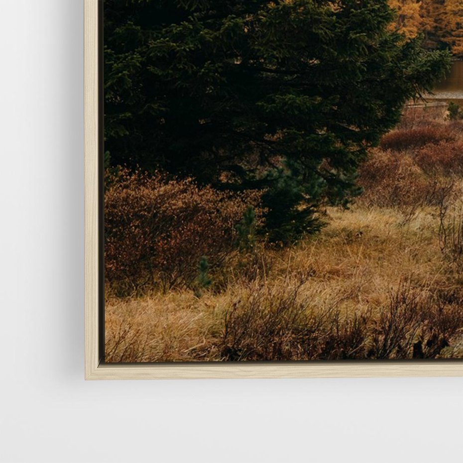 Obraz w ramie 70x50 - W Górskiej Dolinie - artystyczna fotografia, las - rama drewno