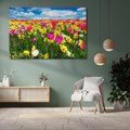Obraz na płótnie 120x80 - tulipany na łące - kwiaty, tulipany