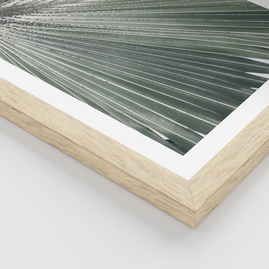 Plakat w ramie 50x70 - Jasnozielony Świat - palma, liść - rama drewno