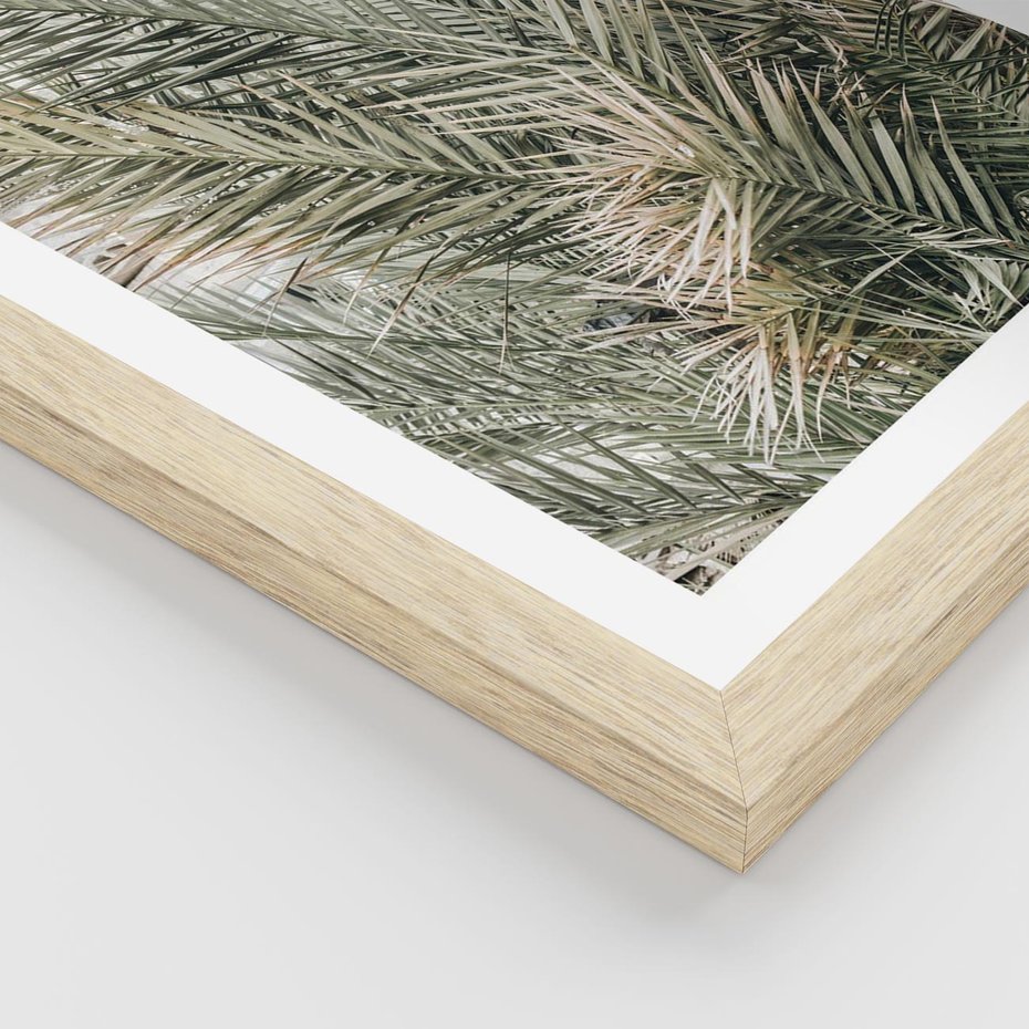 Plakat w ramie 40x50 - Egzotyczny Świat Palm - palmy, liście palmy - rama drewno