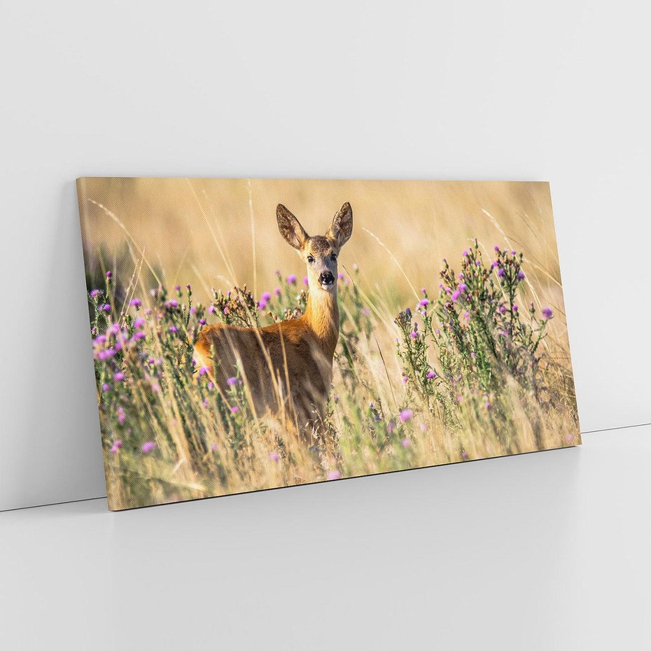 Obraz na płótnie 120x60 - Sarenka na malowniczej łące - sarna, sarenka