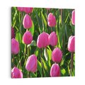 Obraz na płótnie 60x60 - Tulipanowa harmonia - tulipany, kwiaty