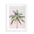 Plakat w ramie 50x70 - Błogość Tropików - palma, tropiki - rama biała