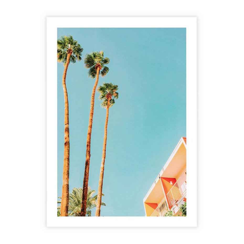 Plakat bez ramy 40x50 - Letnie Marzenia - palmy, na tle nieba