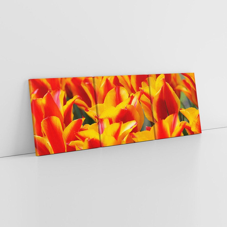 Obraz na płótnie 120x40 - Kwiatowa natura - kwiat, kwiaty