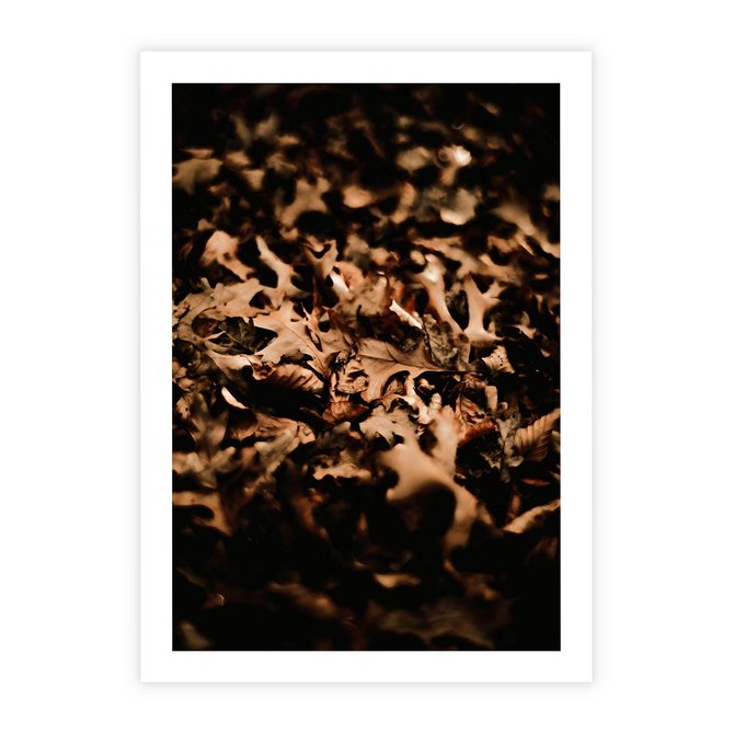 Plakat bez ramy 21x30 - Jesienne Liście: Nostalgiczna Kolorystyka - suche liście, jesień
