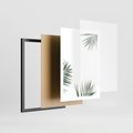 Plakat w ramie 50x70 - Liście Palmy na Czystym Tle - liście palmy, białe tło - rama czarna