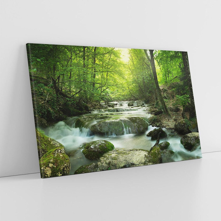 Obraz na płótnie 70x50 - Ukojenie strumienia: Spotkanie z naturą - strumyk, las