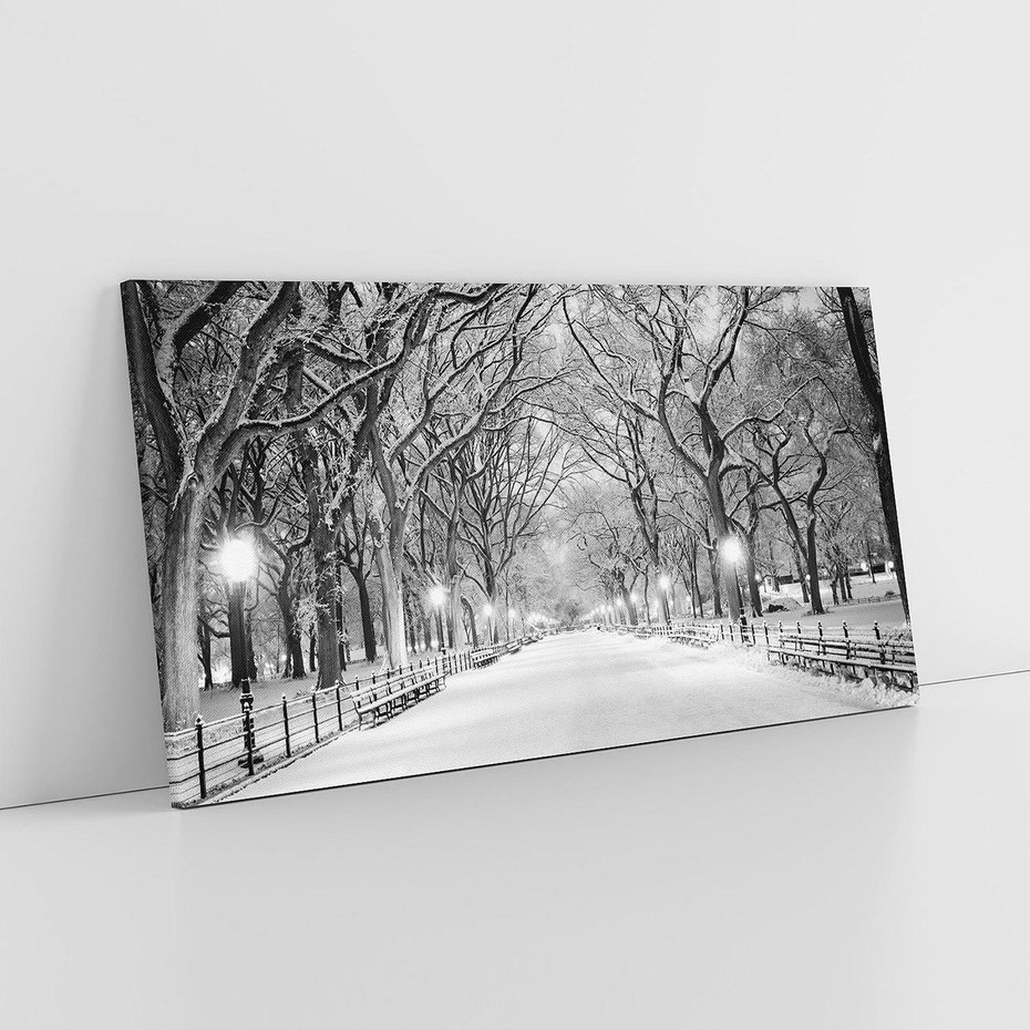 Obraz na płótnie 100x50 - cisza wśród drzew - zima, park