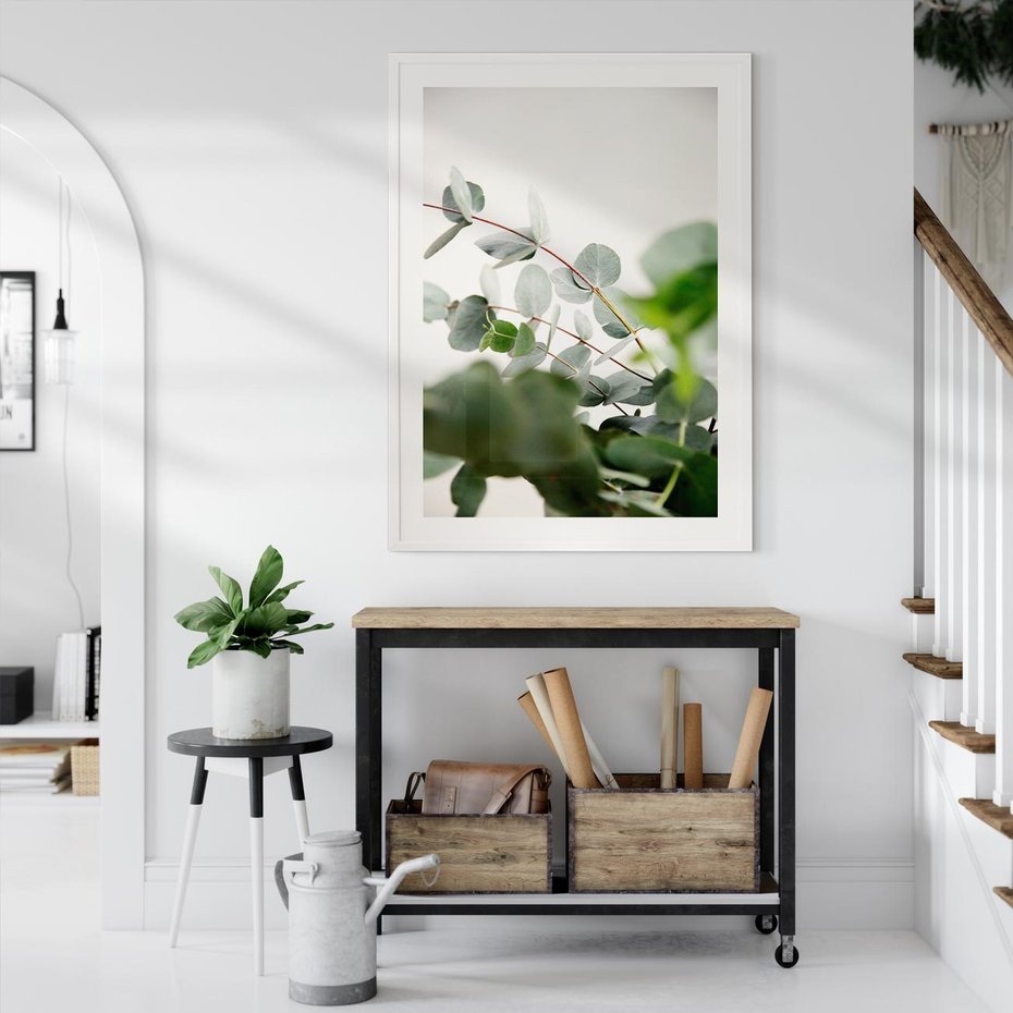 Plakat w ramie 50x70 - Zielony Świat Eukaliptusa - eukaliptus, fotografia - rama biała