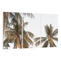 Obraz na płótnie 120x80 - Palmy - tęsknota za Hawajami - palmy, Hawaje