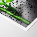Plakat bez ramy 21x30 - Bambusowa Harmonia - bambus, liście
