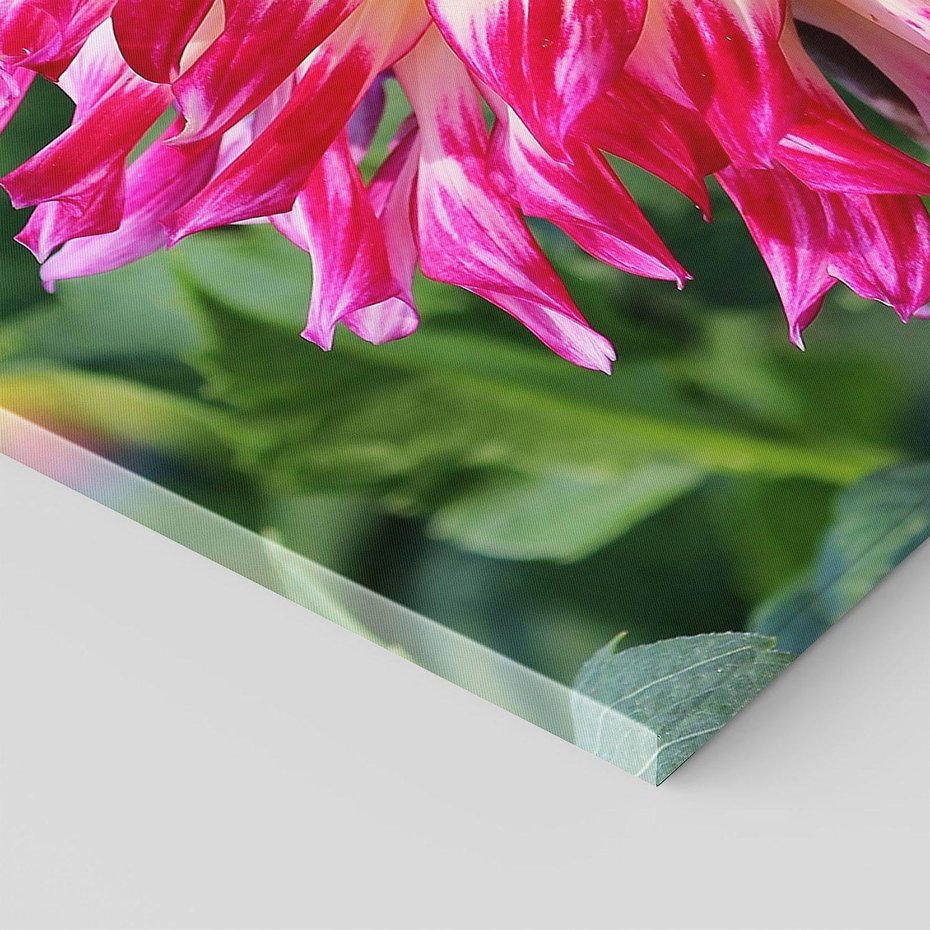 Obraz na płótnie 80x120 - Kwiatowe impresje natury - kwiat, kwiaty