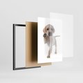 Plakat w ramie 30x40 - Szczeniak pełen radości - piesek, szczeniak - rama czarna