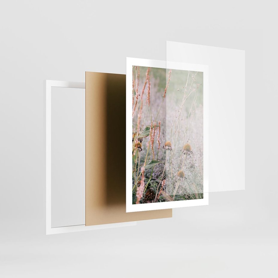 Plakat w ramie 50x70 - Przyroda w Pełnym Blasku: Kolorowa łąka z Kwiatami - łąka, kwiaty na łące - rama biała