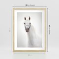 Plakat w ramie 30x40 - Elegancja białego konia - biały, koń - rama drewno
