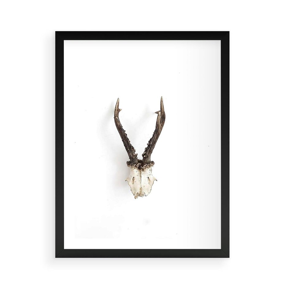 Plakat w ramie 50x70 - Minimalistyczne Poroże Jelenia - poroże jelenia na ścianie, minimalizm - rama czarna