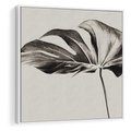 Obraz w ramie 80x80 - Szepczący Liść - szkic, czarno biały - rama biała