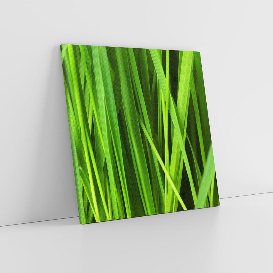 Obraz na płótnie 40x40 - Trawa w abstrakcji: natura przekształcona - trawa, abstrakcja
