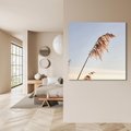 Obraz na płótnie 30x30 - Naturalna Delikatność - trawy, boho