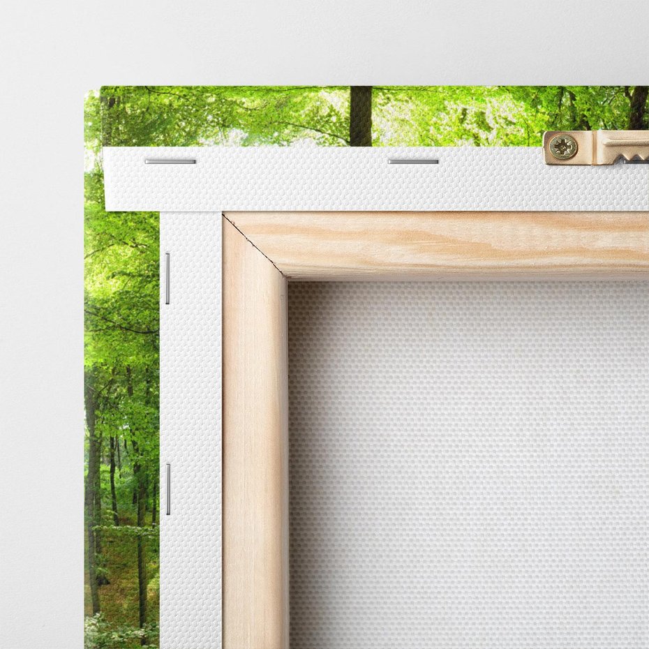 Obraz na płótnie 30x30 - Mistyka leśnych drzew - las, drzewa