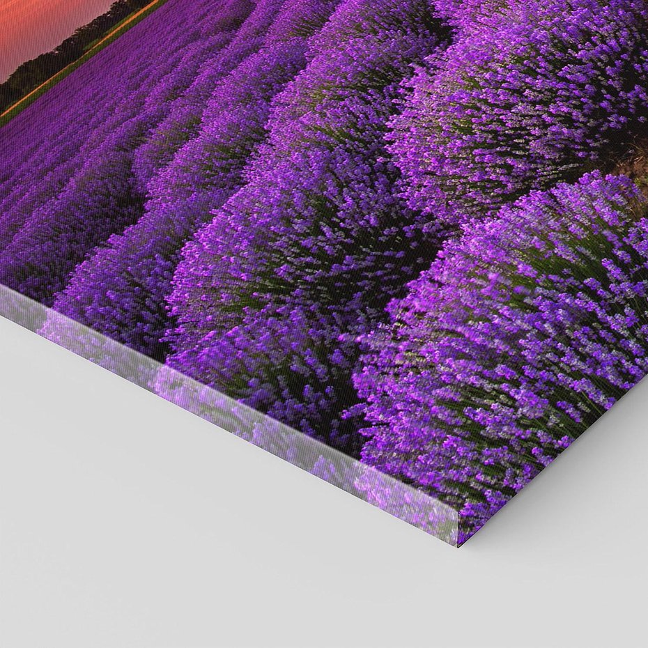 Obraz na płótnie 120x40 - Lawenda: polne zauroczenie - lawenda, kwiaty